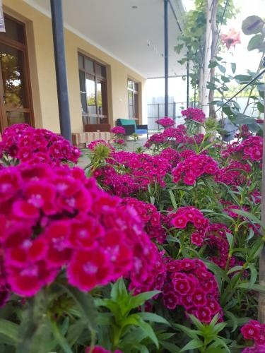 U Norika i Susanny Guest House — отзывы гостей и цены