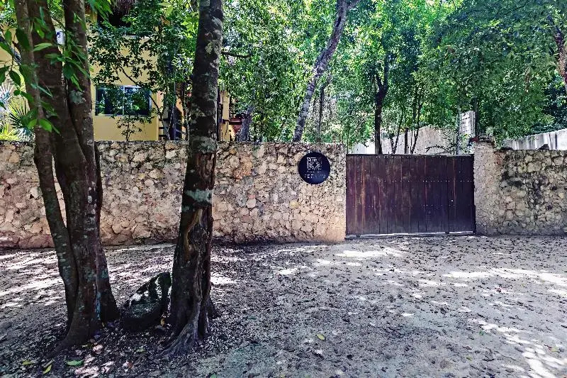 Terasu - Hotel in كانكون - Photo 2