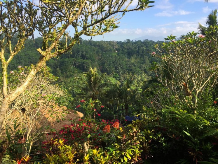 Villa Indah Ubud — отель с удобствами в Убуде