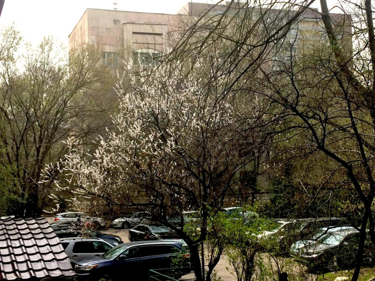 Apartments on Samal 1 — забронировать отель в Алматы