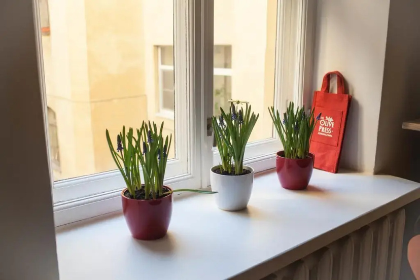 Bluedoor Apartment — забронировать отель в Санкт-Петербурге