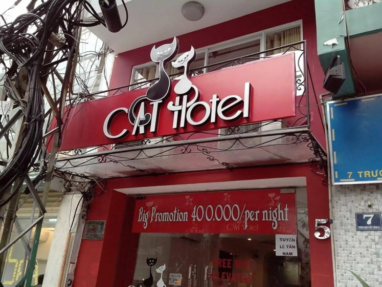 Cat Hotel — комфортный отель в Хошимине