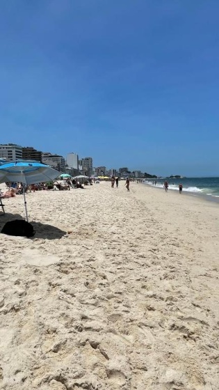 Цены на Charming Apartment in the best area of Ipanema в Рио