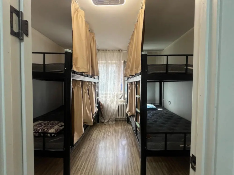 Zebra Guest House — отзывы гостей и цены