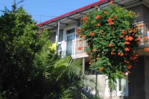 Giga Guest House — забронировать отель в Батуми