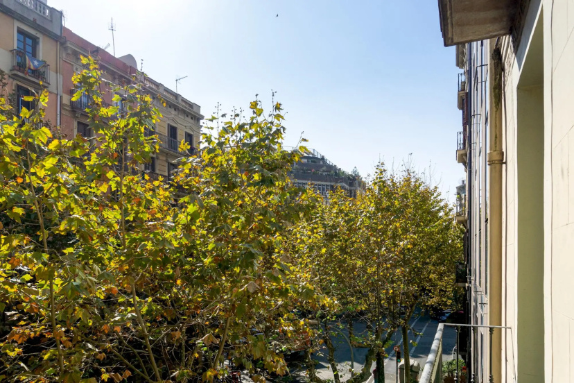 MIRO K · New apartment located in safe and central Eixample — отзывы гостей и цены