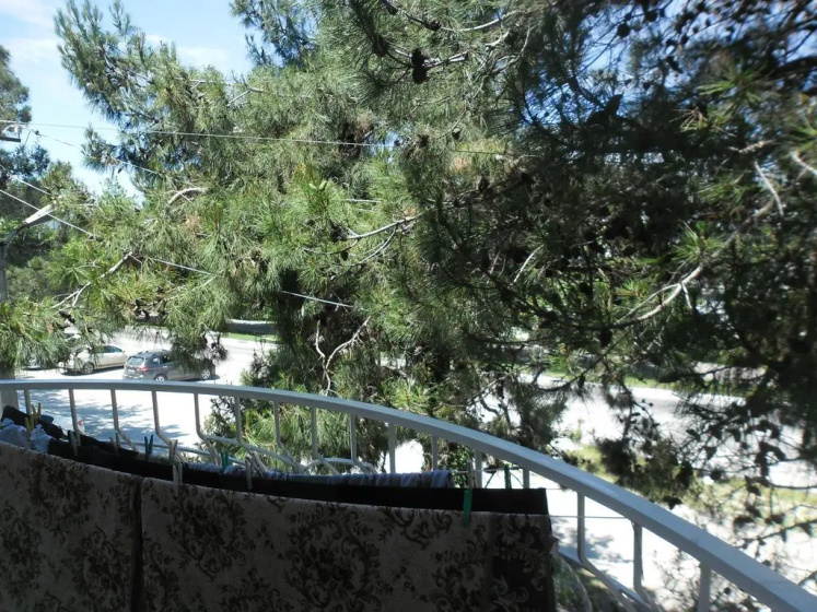 Guest house Bely Zamok — отель с удобным расположением в Геленджике
