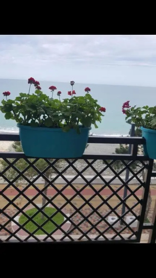 guest house 1 — отель с удобным расположением в Кобулети