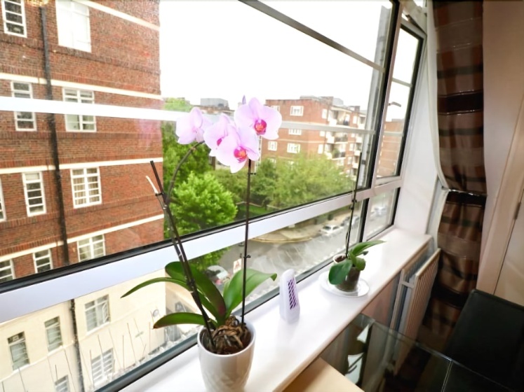 Nell Gwynn House Apartment — отель с удобным расположением в Лондоне