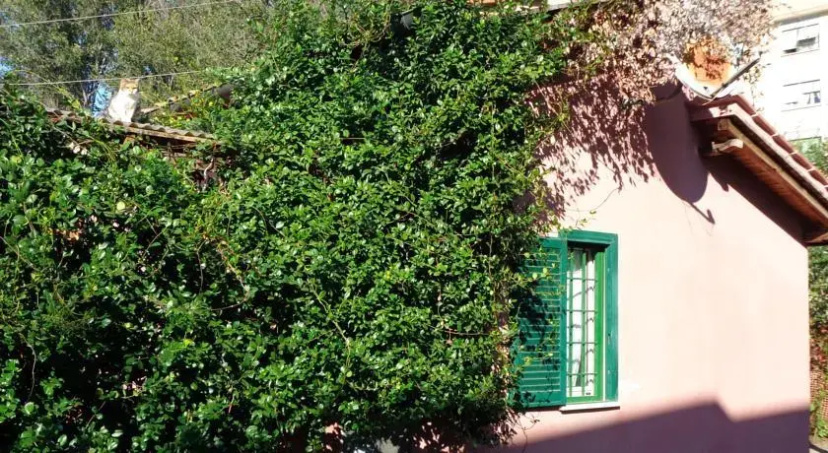 Holiday Home Buratti — отель с удобствами в Риме