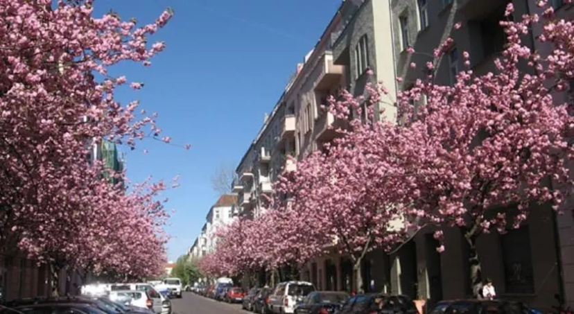 Bötzowviertel — отзывы гостей и цены
