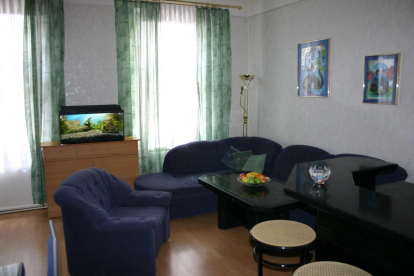 Apartment Gabriela — отель с удобствами в вене