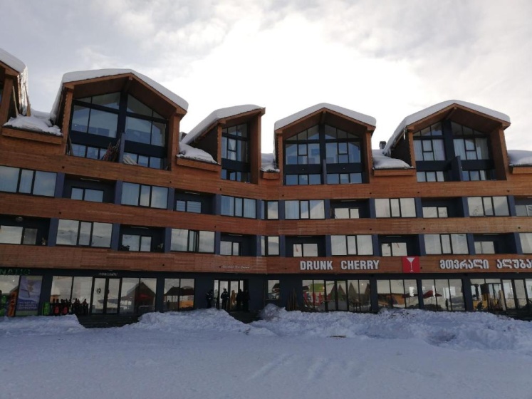 7 Senses Apartment New Gudauri — отель с удобствами в Гудаури