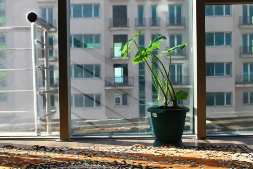 Three-Bedroom Apartment in Batumi, near the Black Sea — отзывы гостей и цены