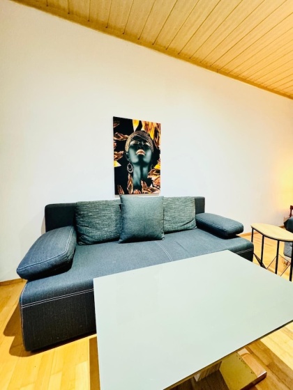 Comfortable 4BR Apt for 12 FAC Platz — отель с удобствами в вене