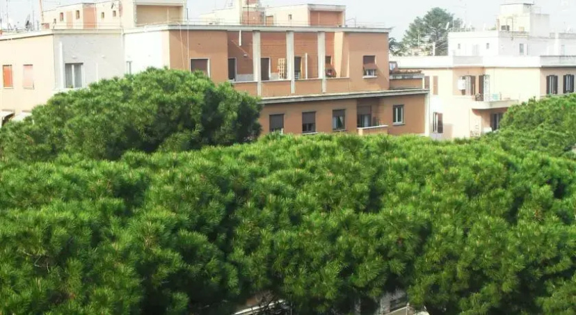 Via Appia Apartment — отзывы гостей и цены