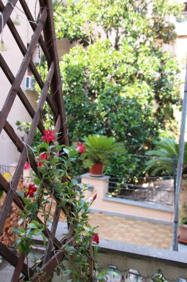 Цены на Cedro 28 Apartment в Риме