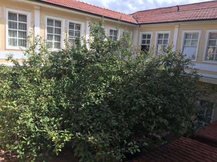 Antik Han Hotel - Special Class, Измир, Турция