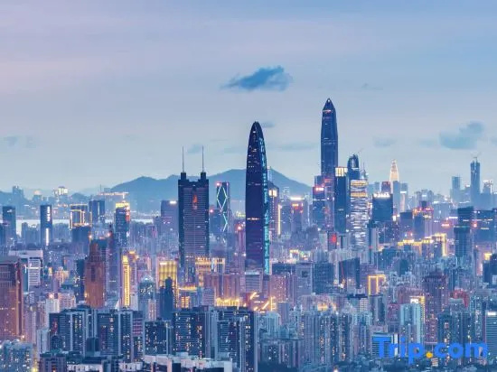 Bosiden Executive Apartment (Vanke and Songxuan Branch, Shenzhen North Station) — забронировать отель в Шэньчжэне