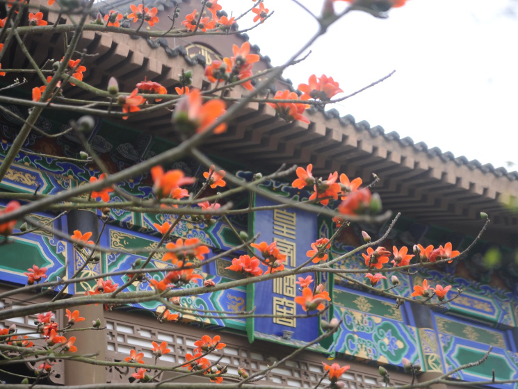Eadry Royal Garden Hotel Haikou 5 — отель в Хайкоу, Китай