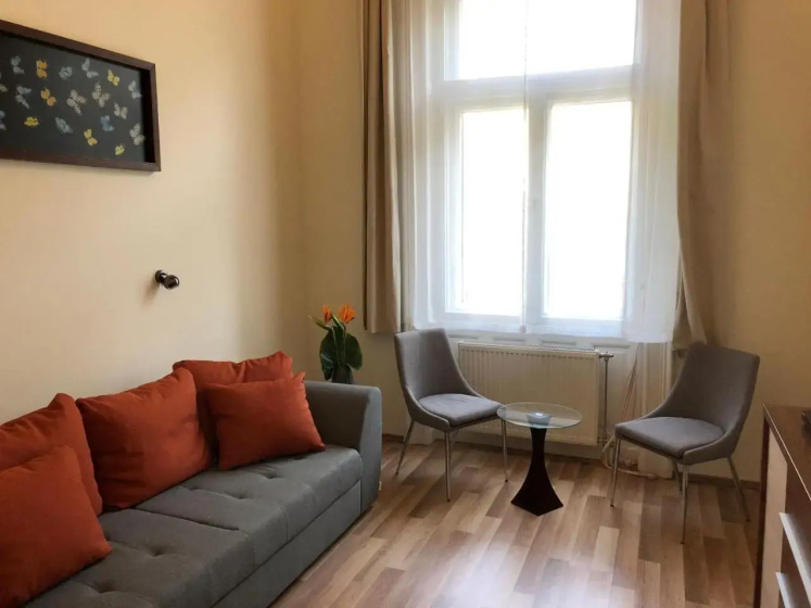 Frank & Fang Apartments — отель с удобствами в Будапеште