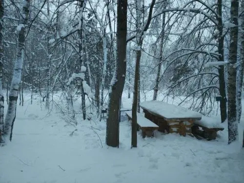 Guest Houses Polenovo Republic — комфортный отель в Таруса