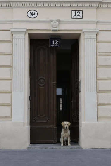 Old Vienna Apartments — отель с удобствами в вене
