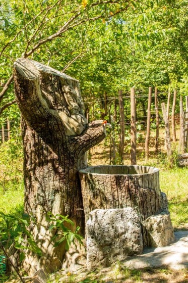 Eco Cottage — забронировать отель в Кутаиси