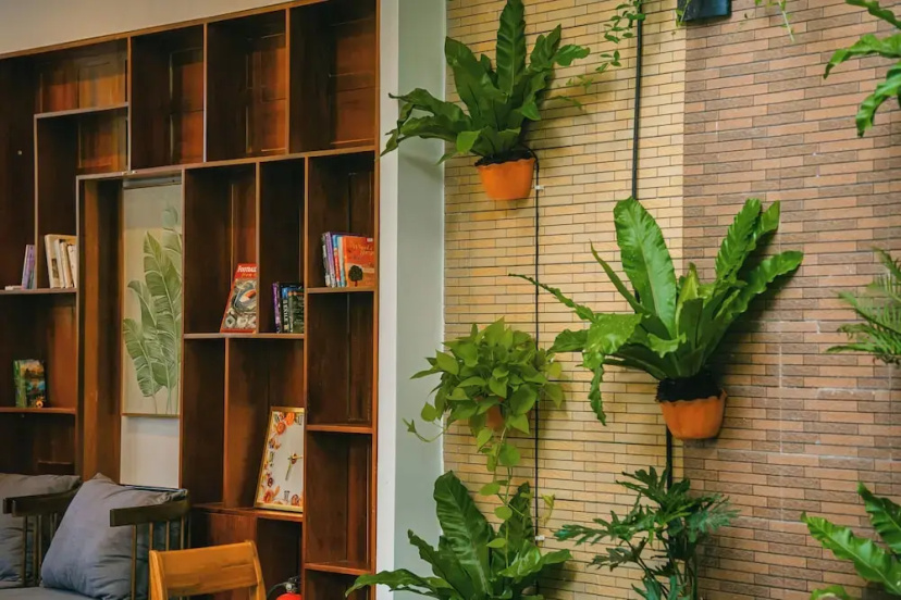 Beach Palm Villa Hoi An — комфортный отель в Дананге