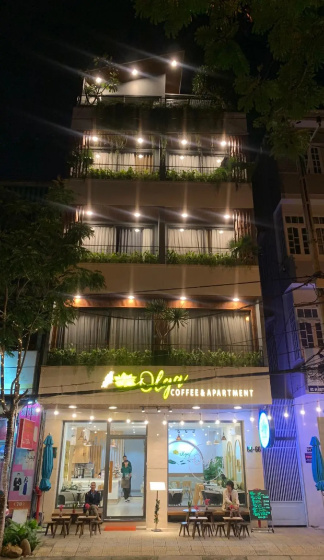 Olga Apartment Danang Vietnam — отель с удобным расположением в Дананге