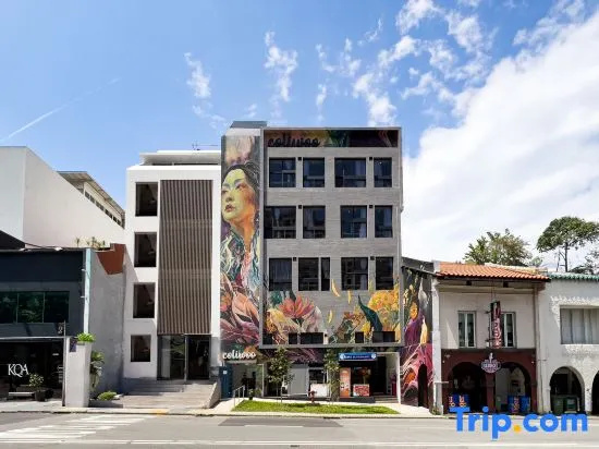 Coliwoo 268 River Valley - Co-Living Serviced Apartment 3 — отель в Сингапур, Сингапур