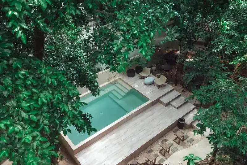 Terasu - Hotel in كانكون - Photo 3