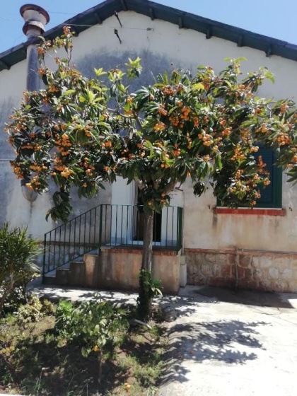 Villa Serrano — отзывы гостей и цены