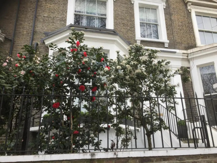 Luxurious Apartment in Kensington & Chelsea 3 — отель в Лондоне, Соединенное Королевство