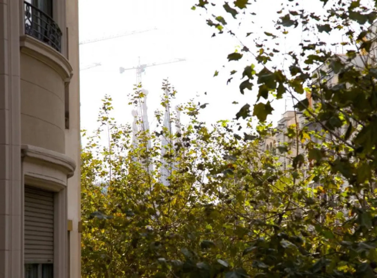 Avinguda Gaudi Barcelonastuff Apartments — комфортный отель в Барселоне