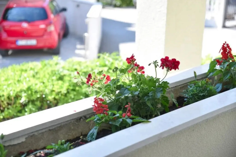 Biser Guest House — отель с удобным расположением в Будва