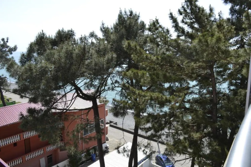Seaside Apartment — комфортный отель в Кобулети