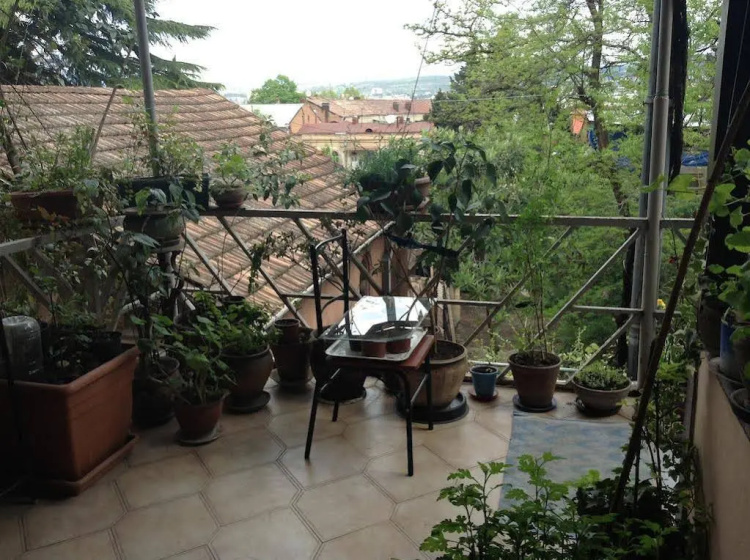 Tsisana Guest House — отель с удобствами в Тбилиси