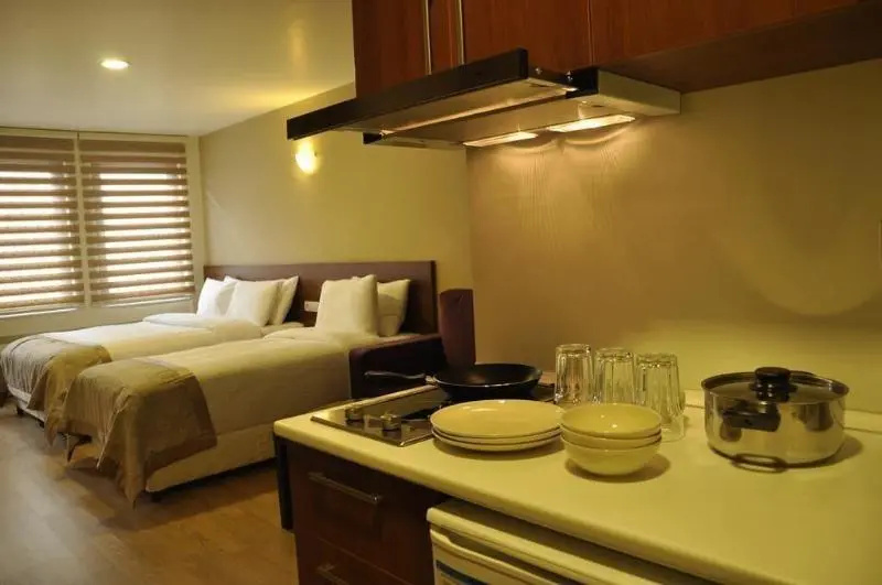 Цены на Dorne Taksim Suite в Стамбуле