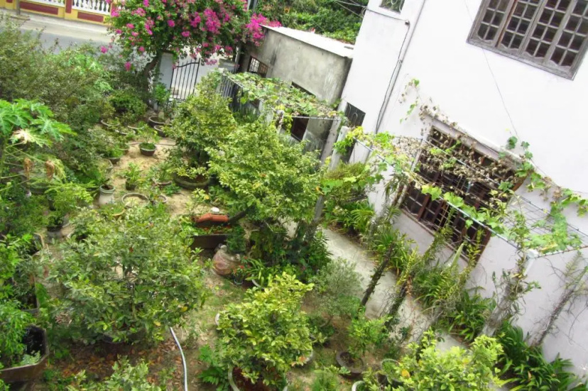 Charming Homestay — отель с удобствами в Дананге