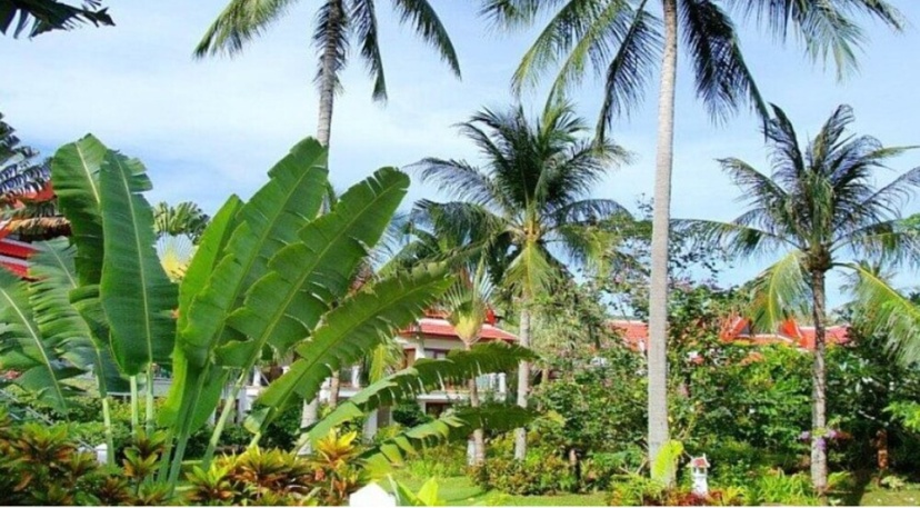 Royal Living Koh Samui - Terrace With Jacuzzi - Villa 7 — отель с удобным расположением в Кохе