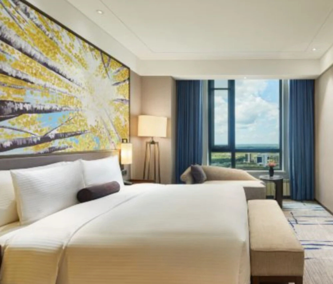 Wanda Realm Resort Harbin Songbei - Resort in هاربن - Photo 5