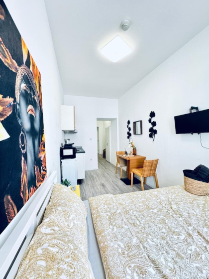 Cozy and Affordable Palace Studio 2 — отель в вене, Австрия