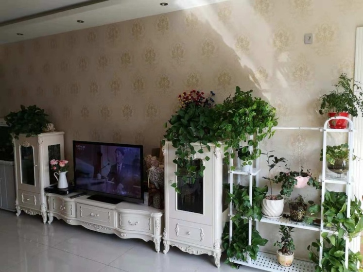 Xiao's Apartment — отель с удобным расположением в Пекине