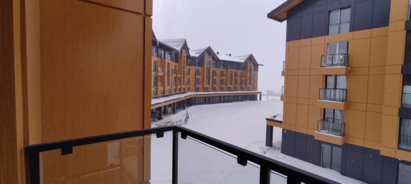 Evdo Apartments F4 Wooden Room — отель в Гудаури, Грузия