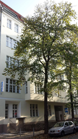 Цены на Bregenz в Берлине