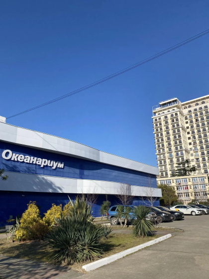 Апартаменты на улице Ленина 219/6Б — отель с удобным расположением в Сочи