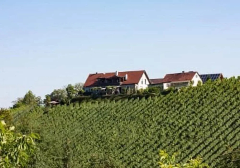 Winzerhof Strablegg - Guesthouse in Wildon - Photo 1
