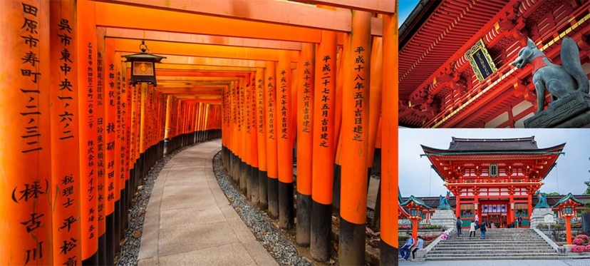 Ooimazato Samurai House2 — отзывы гостей и цены