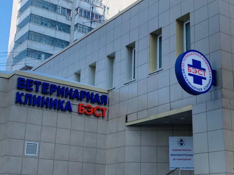 В гости на улице Ленина 81 — отзывы гостей и цены